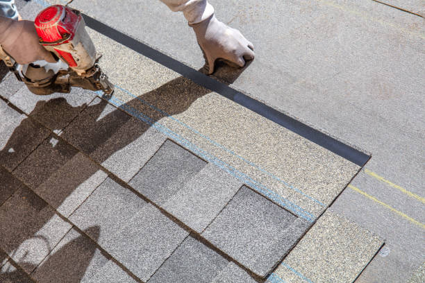 Best Sheet Metal Roofing  in Sheldon, IL