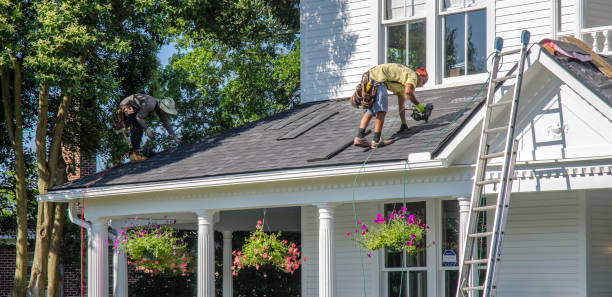 Best Storm Damage Roof Repair  in Sheldon, IL